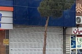 فروش مغازه میدان گز